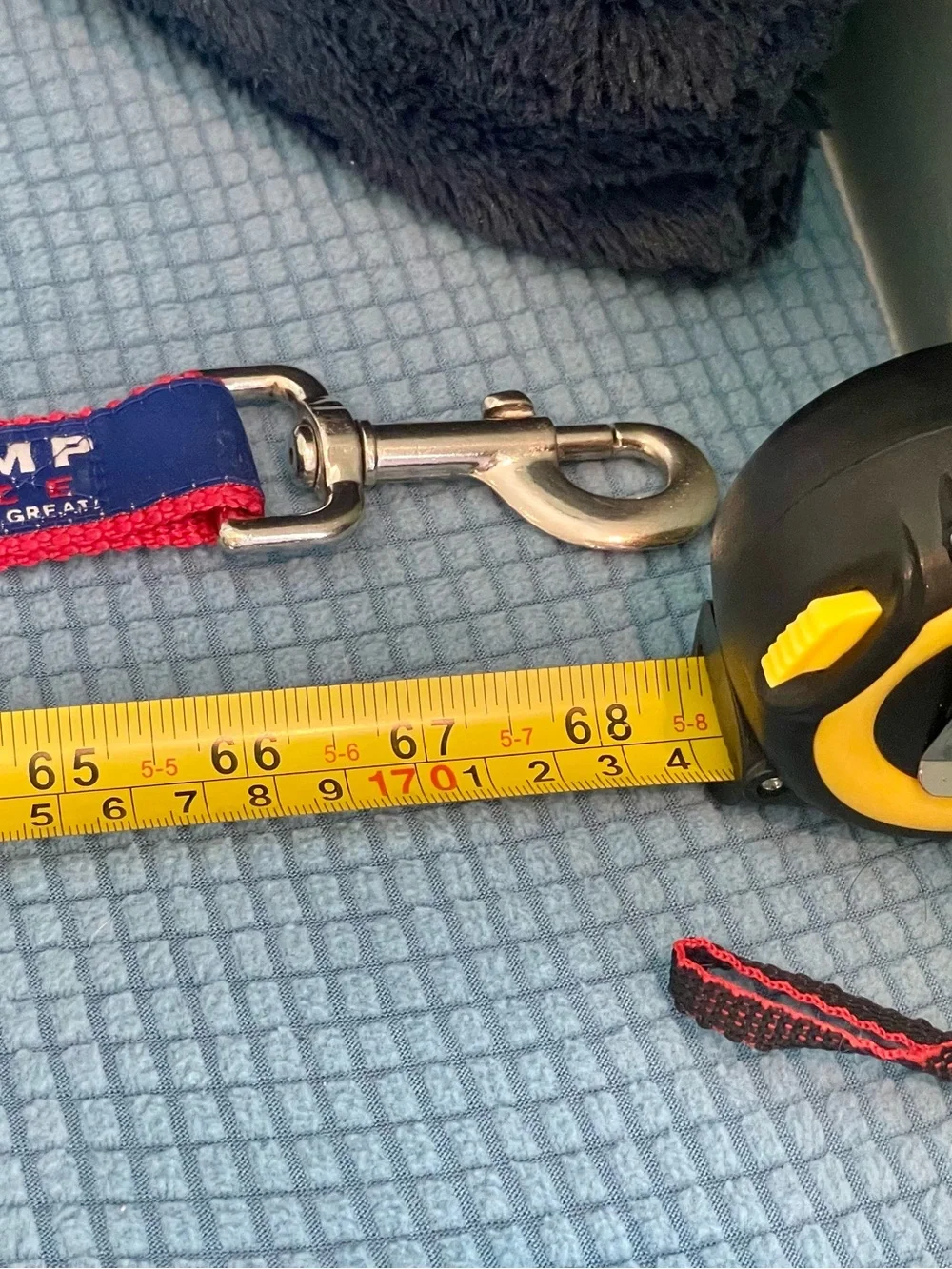 Trump Pence “Keep America Great!” Dog Leash & Collar Set